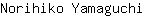 N***i