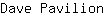 D***n