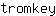 t***y