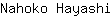 N***i