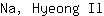 N***l