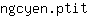 n***t