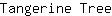 T***e