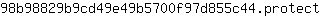 9***t
