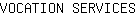 V***S