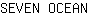 S***N
