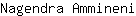 N***i