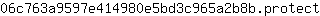 0***t