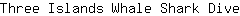 T***e