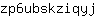 z***j