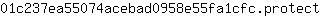 0***t