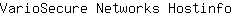V***o