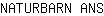 N***S
