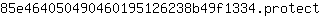 8***t