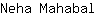 N***l