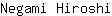 N***i