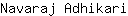 N***i