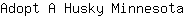 A***a