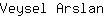 V***n