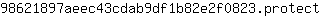 9***t