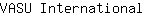 V***l