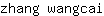 z***i