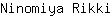 N***i