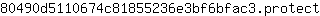 8***t