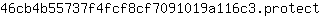 4***t