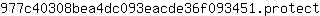 9***t