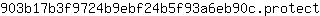 9***t