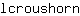 l***n