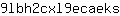 9***s