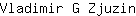 V***n