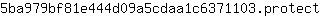 5***t