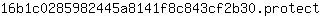 1***t