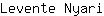 L***i