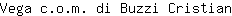 V***n