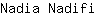 N***i