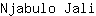 N***i