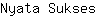 N***s