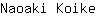 N***e