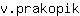 v***k