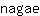 n***e