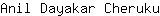 A***u