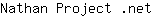 N***t