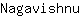 N***u