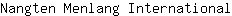 N***l