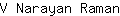 V***n