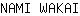 N***I